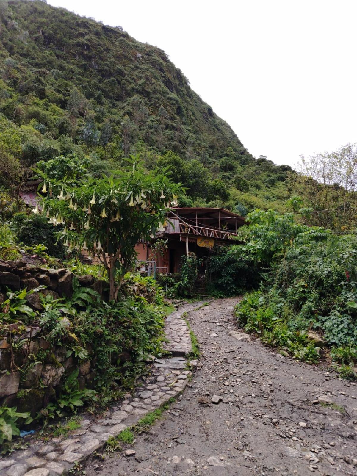 Hostel Samana Wasi Chaullay Cuzco Exterior photo